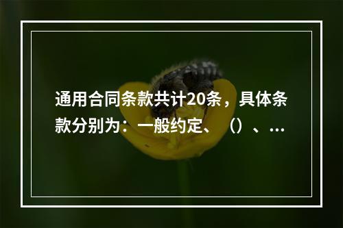 通用合同条款共计20条，具体条款分别为：一般约定、（）、工期