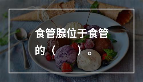 食管腺位于食管的（　　）。