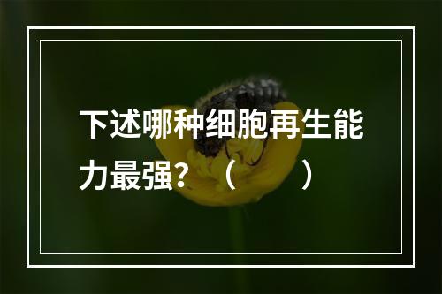 下述哪种细胞再生能力最强？（　　）