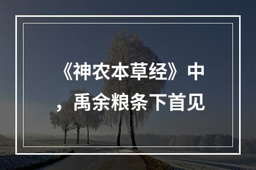 《神农本草经》中，禹余粮条下首见