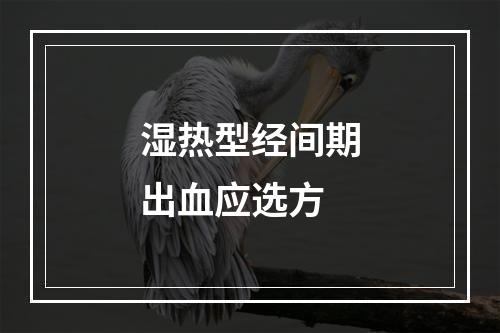 湿热型经间期出血应选方