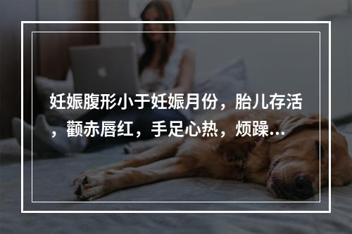 妊娠腹形小于妊娠月份，胎儿存活，颧赤唇红，手足心热，烦躁不安