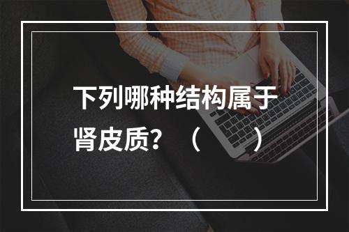 下列哪种结构属于肾皮质？（　　）