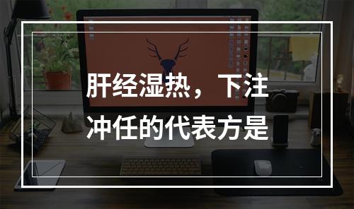 肝经湿热，下注冲任的代表方是