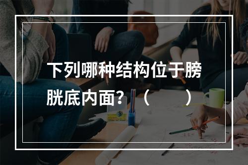 下列哪种结构位于膀胱底内面？（　　）