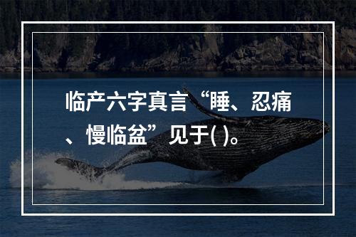 临产六字真言“睡、忍痛、慢临盆”见于( )。