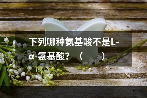 下列哪种氨基酸不是L-α-氨基酸？（　　）