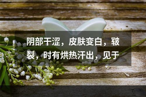 阴部干涩，皮肤变白，皲裂，时有烘热汗出，见于