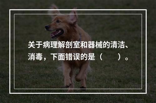 关于病理解剖室和器械的清洁、消毒，下面错误的是（　　）。