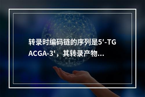 转录时编码链的序列是5′-TGACGA-3′，其转录产物的结