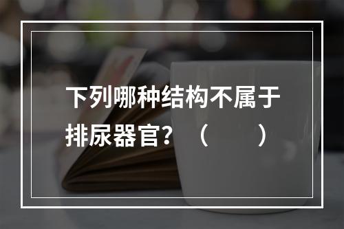 下列哪种结构不属于排尿器官？（　　）