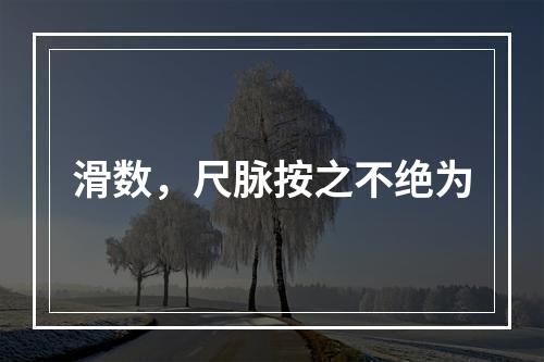 滑数，尺脉按之不绝为