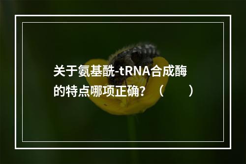 关于氨基酰-tRNA合成酶的特点哪项正确？（　　）