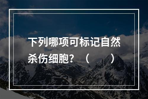 下列哪项可标记自然杀伤细胞？（　　）