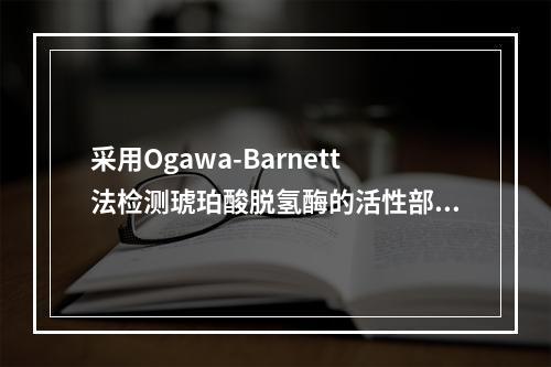 采用Ogawa-Barnett法检测琥珀酸脱氢酶的活性部位