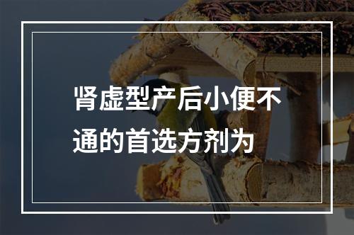 肾虚型产后小便不通的首选方剂为