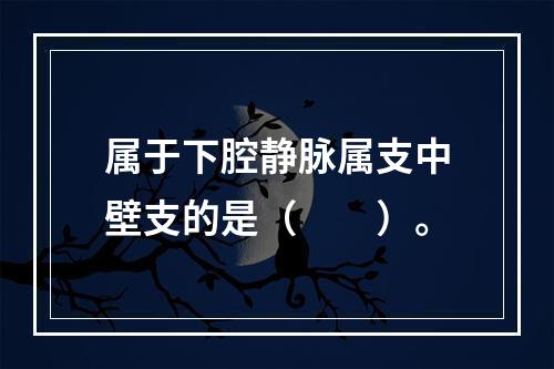 属于下腔静脉属支中壁支的是（　　）。