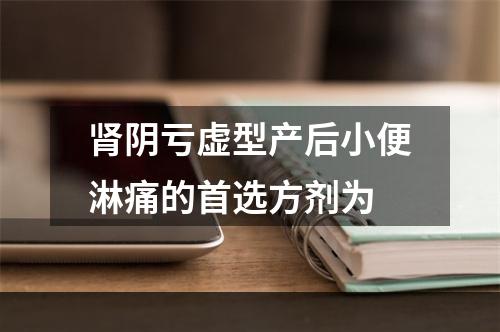 肾阴亏虚型产后小便淋痛的首选方剂为