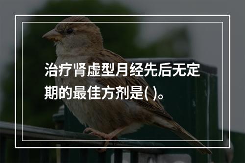 治疗肾虚型月经先后无定期的最佳方剂是( )。