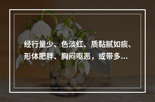 经行量少、色淡红、质黏腻如痰、形体肥胖、胸闷呕恶，或带多黏腻