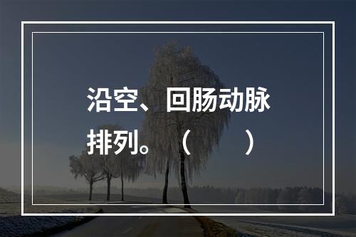 沿空、回肠动脉排列。（　　）