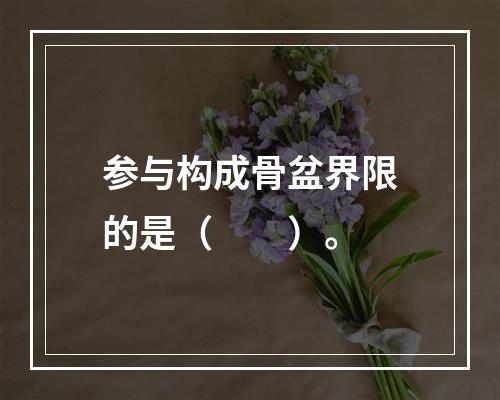 参与构成骨盆界限的是（　　）。