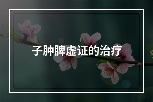 子肿脾虚证的治疗