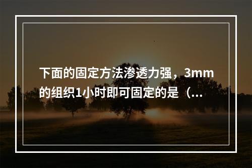 下面的固定方法渗透力强，3mm的组织1小时即可固定的是（　