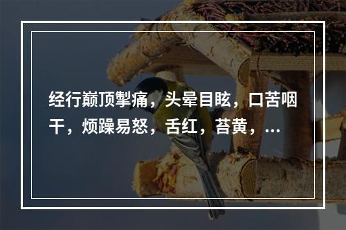 经行巅顶掣痛，头晕目眩，口苦咽干，烦躁易怒，舌红，苔黄，脉弦