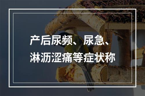 产后尿频、尿急、淋沥涩痛等症状称