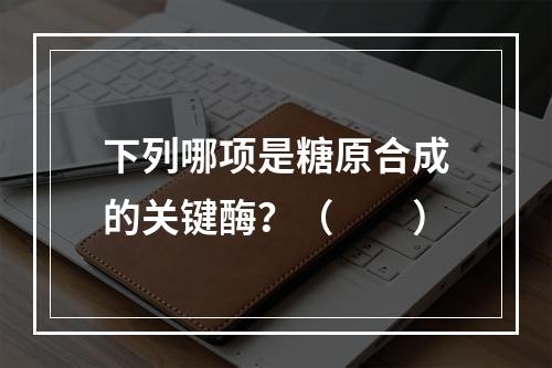 下列哪项是糖原合成的关键酶？（　　）