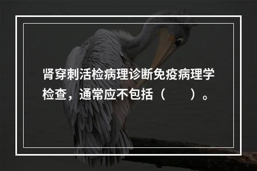 肾穿刺活检病理诊断免疫病理学检查，通常应不包括（　　）。