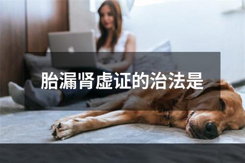 胎漏肾虚证的治法是