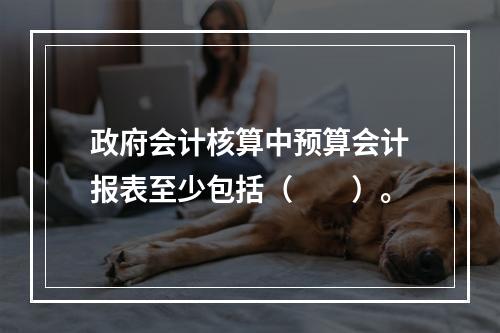 政府会计核算中预算会计报表至少包括（　　）。