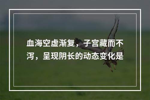 血海空虚渐复，子宫藏而不泻，呈现阴长的动态变化是