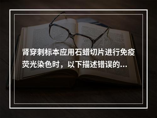 肾穿刺标本应用石蜡切片进行免疫荧光染色时，以下描述错误的是