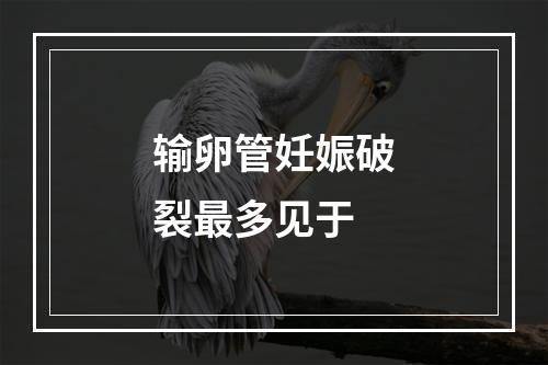 输卵管妊娠破裂最多见于