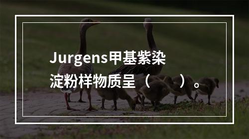 Jurgens甲基紫染淀粉样物质呈（　　）。