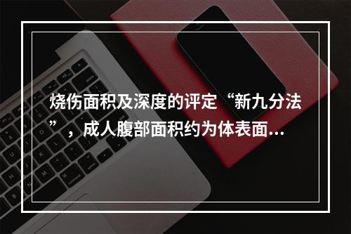 烧伤面积及深度的评定“新九分法”，成人腹部面积约为体表面积