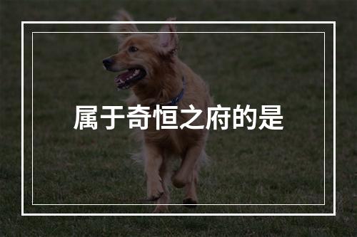 属于奇恒之府的是