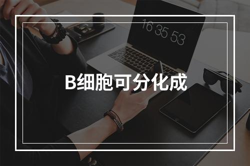 B细胞可分化成