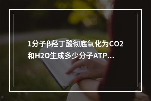 1分子β羟丁酸彻底氧化为CO2和H2O生成多少分子ATP？