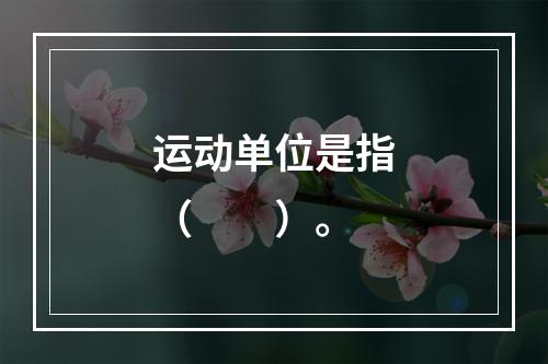 运动单位是指（　　）。