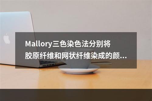 Mallory三色染色法分别将胶原纤维和网状纤维染成的颜色