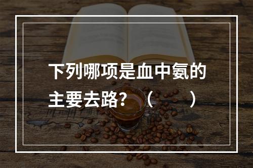 下列哪项是血中氨的主要去路？（　　）