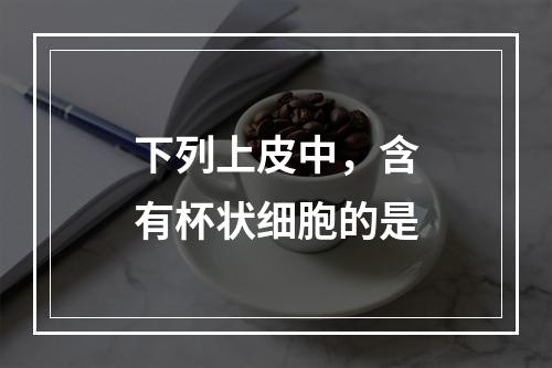 下列上皮中，含有杯状细胞的是