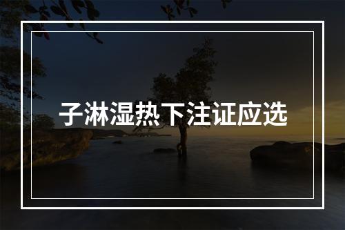 子淋湿热下注证应选