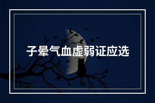 子晕气血虚弱证应选