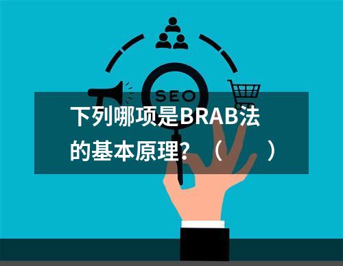 下列哪项是BRAB法的基本原理？（　　）