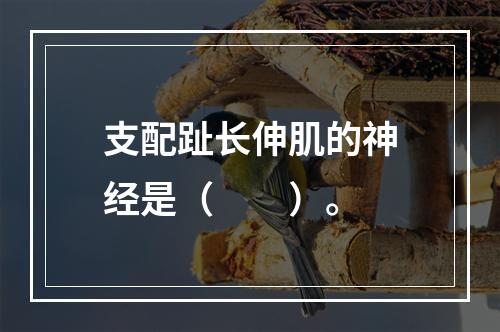 支配趾长伸肌的神经是（　　）。